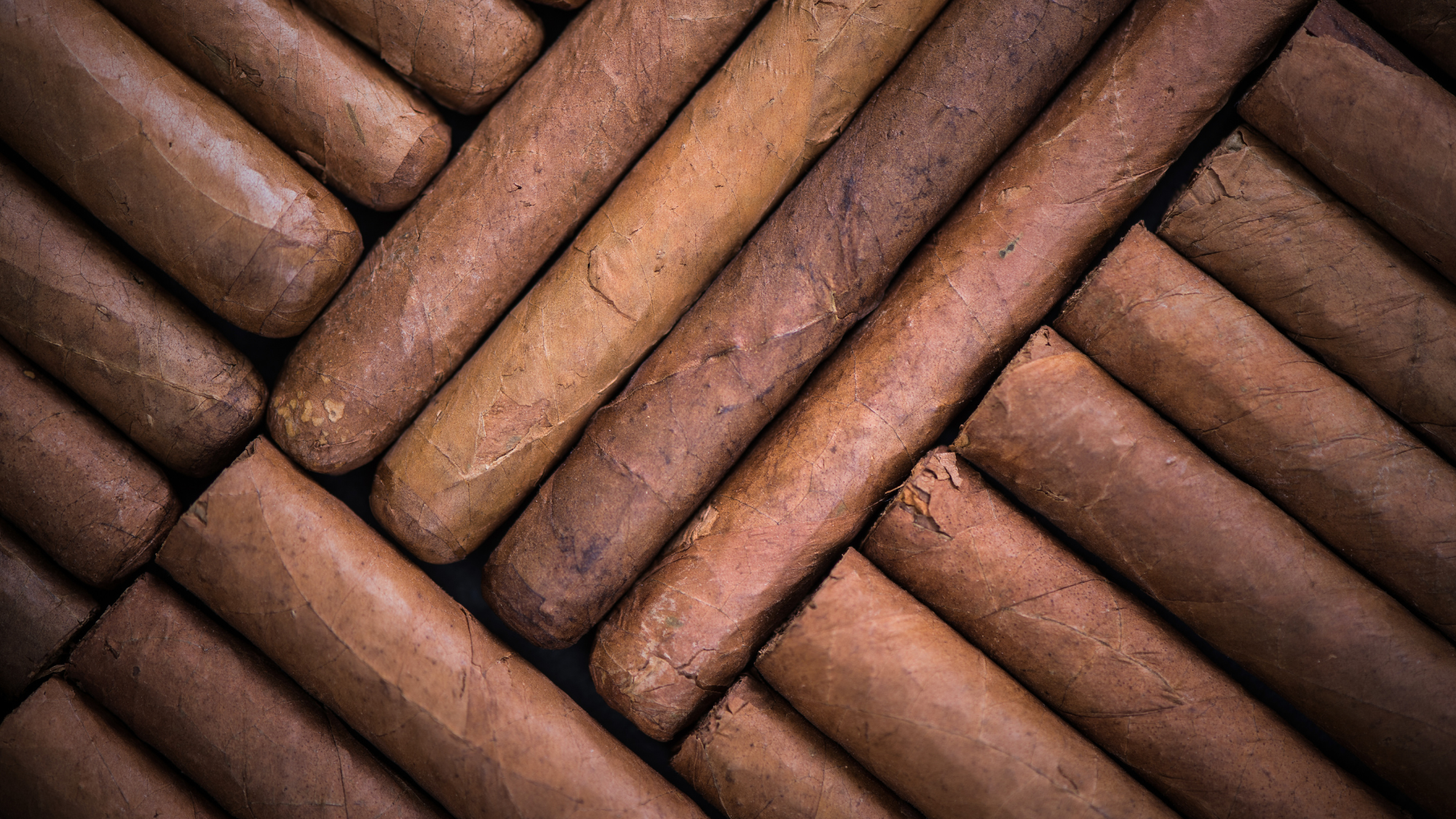 Cigar